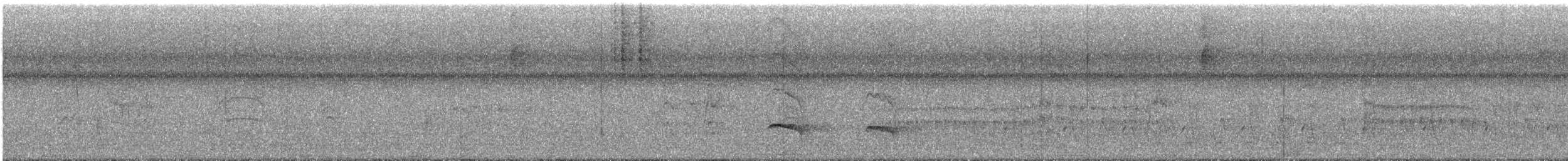 passereau sp. - ML644708402