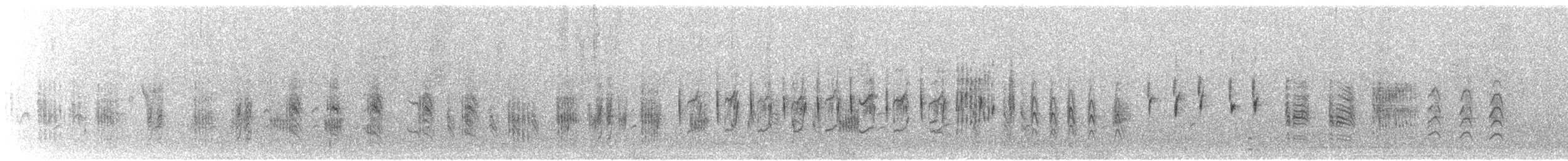 Rousserolle effarvatte (groupe baeticatus) - ML644708603