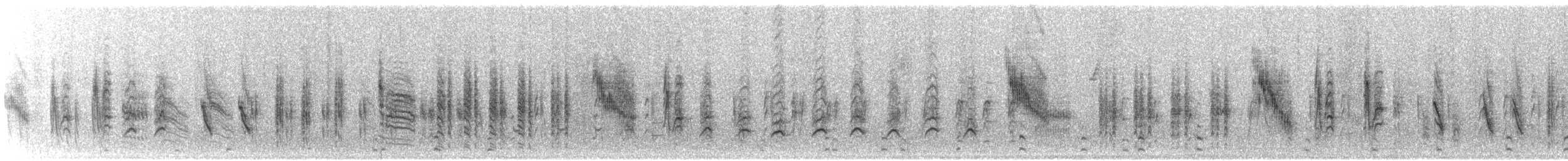 Rousserolle effarvatte (groupe baeticatus) - ML644708636