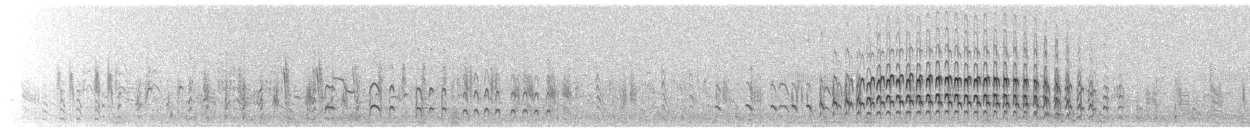 Grèbe castagneux - ML644708656