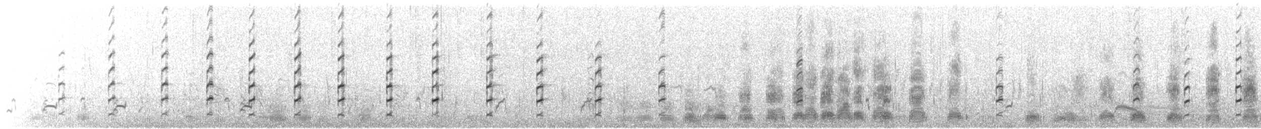 Échasse blanche - ML644708677