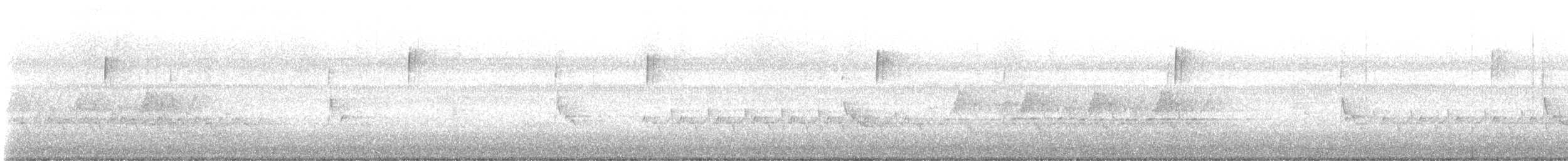 Troglodyte de Caroline - ML644708868