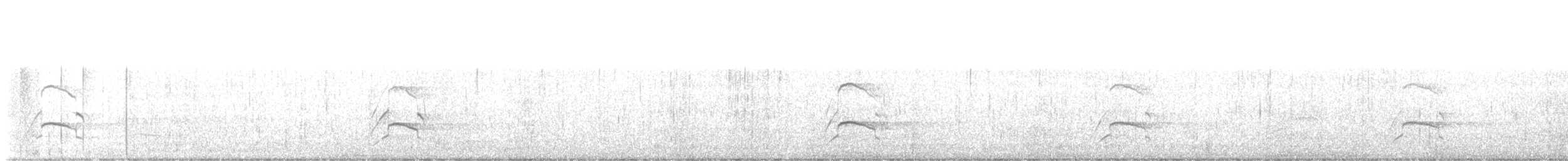 Пижик довгодзьобий - ML644708948