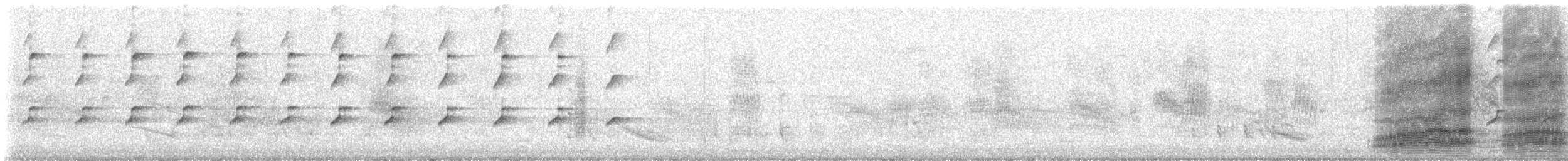 Gray Goshawk - ML644710113