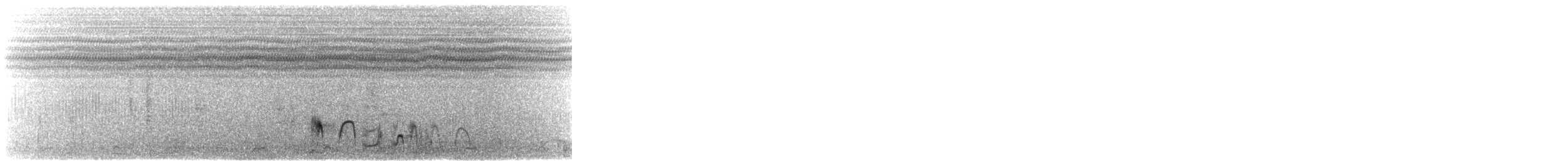 Double-banded Sandgrouse - ML644710791