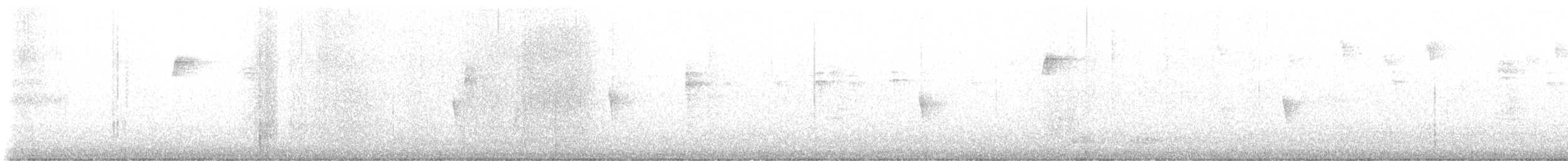 Magnolia Warbler - ML644711456