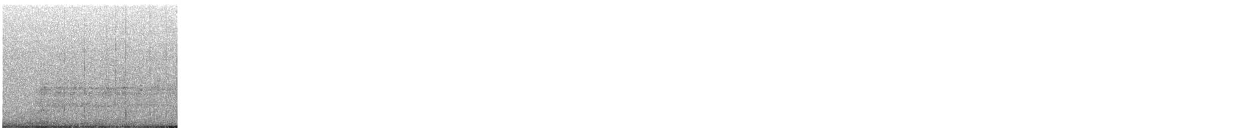 Steller Kargası - ML644711564