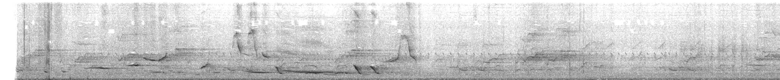 Gray Shrikethrush - ML644712094