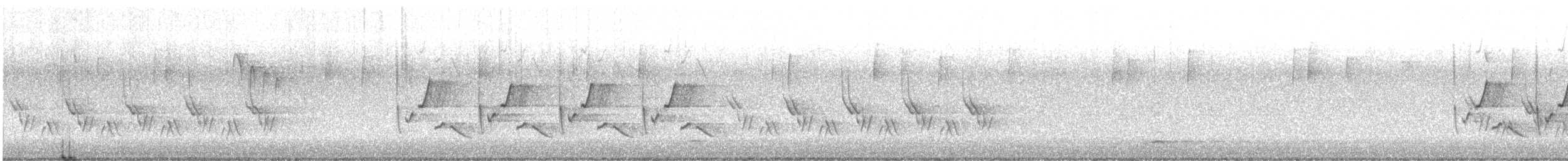 Carolina Wren - ML644713246