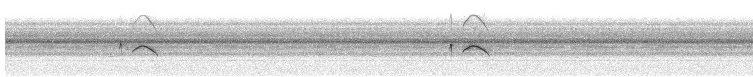 White-tailed Nightjar - ML644715380