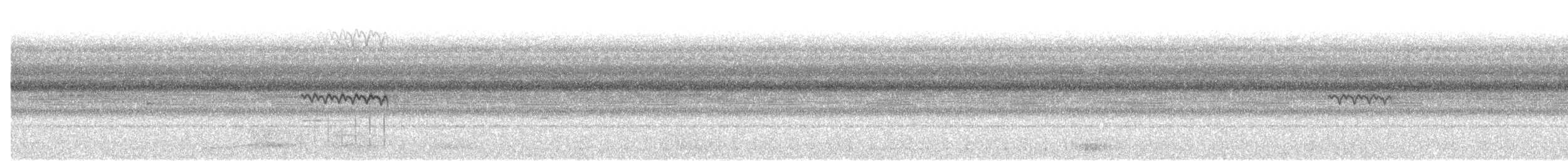 White-tailed Nightjar - ML644715381