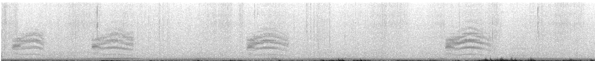 Spotted Towhee - ML644715406