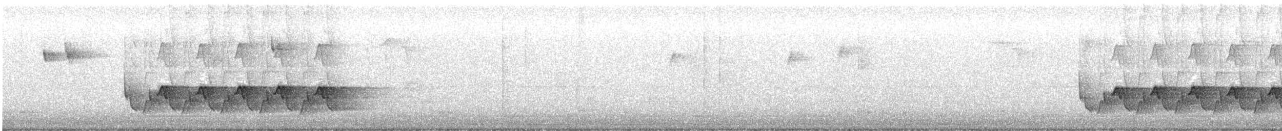 Carolina Wren - ML644715693