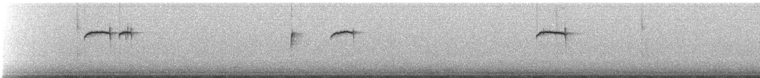 brkoslav americký - ML644715970