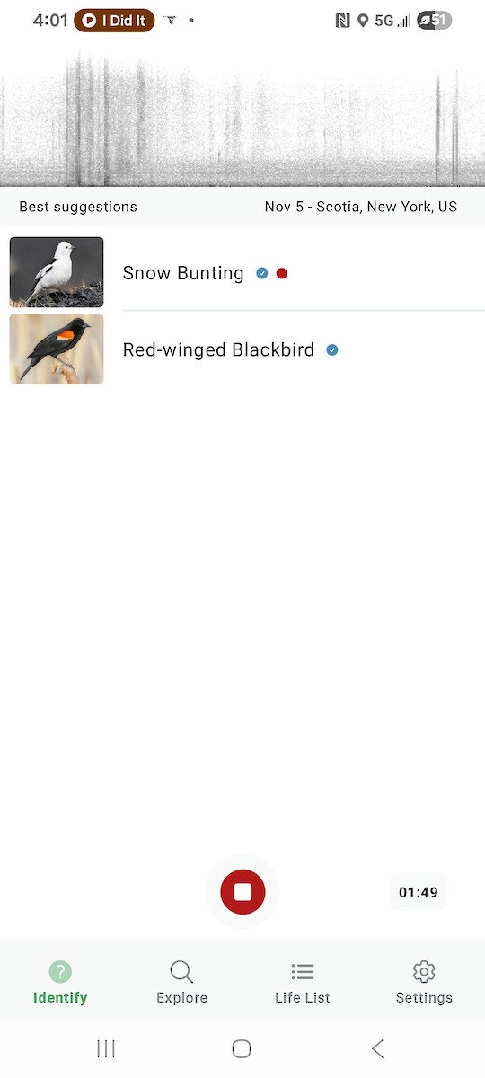 Цасч хөмрөг - ML644717015