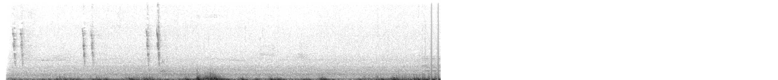 Northern Mockingbird - ML644718721