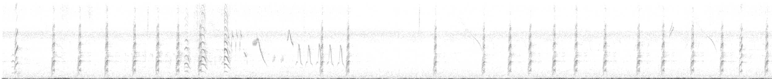 Black-necked Stilt - ML644718822