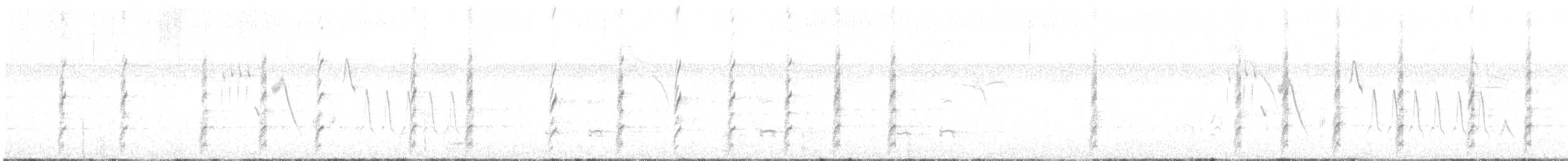 Black-necked Stilt - ML644718823