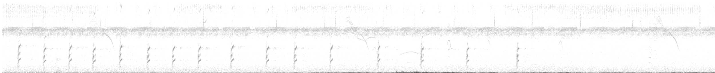 Black-necked Stilt - ML644718852