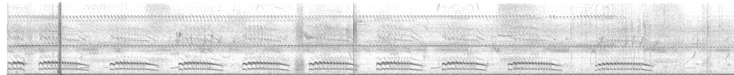 chřástal bělobradý - ML644718909