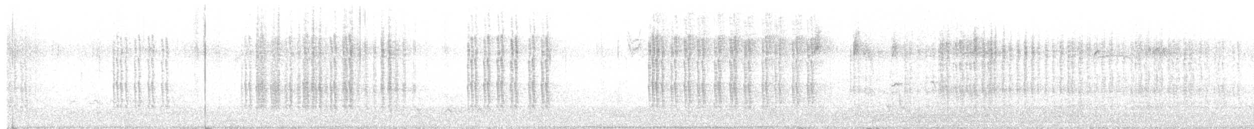 Belted Kingfisher - ML644719267