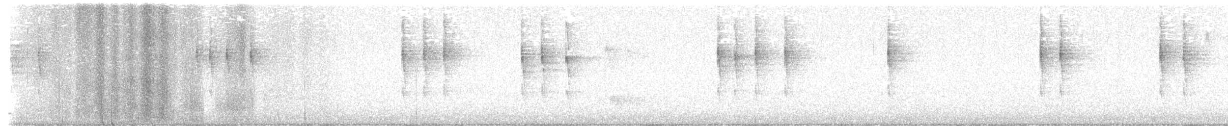 Pacific Wren - ML644719290