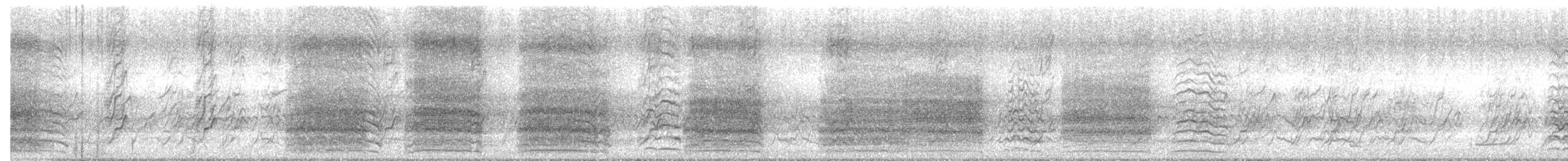 Little Corella - ML644719476