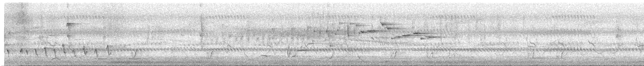 Sahul Cicadabird - ML644719486