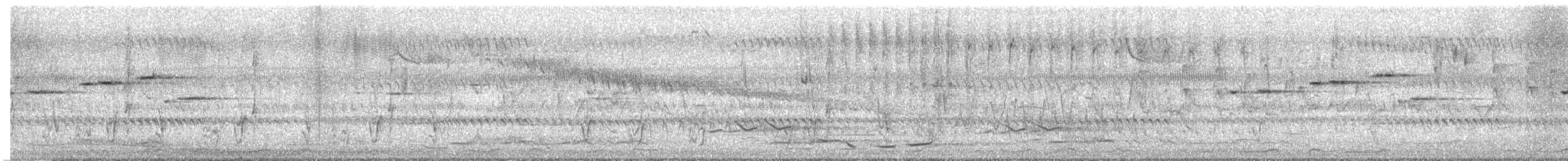 Sahul Cicadabird - ML644719488