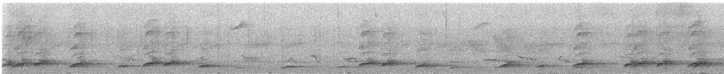 Slaty-breasted Wood-Rail - ML644719515