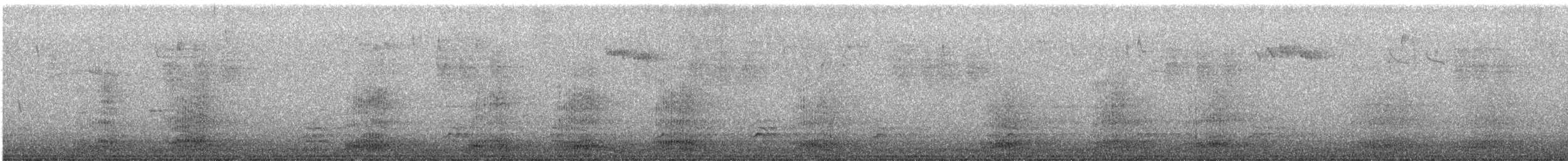 Common Raven - ML644719622