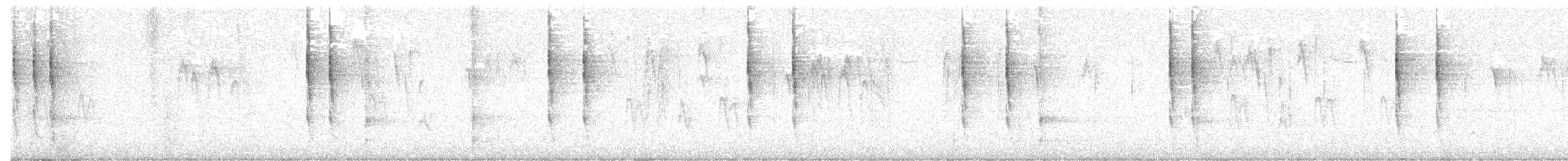 Pacific Wren - ML644719910
