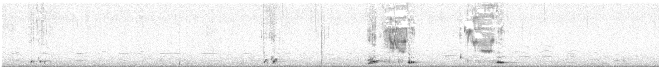 krkavec velký - ML644720025