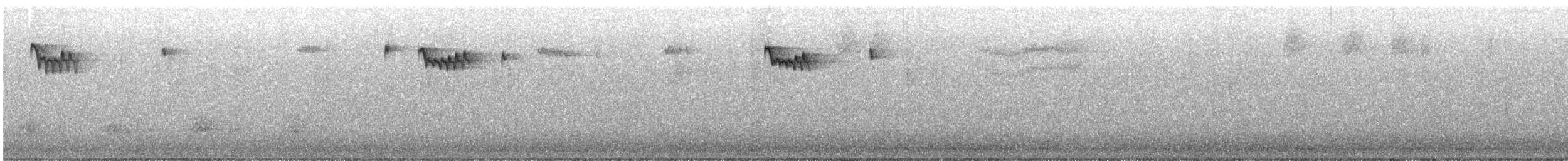 Brown Creeper - ML644720477