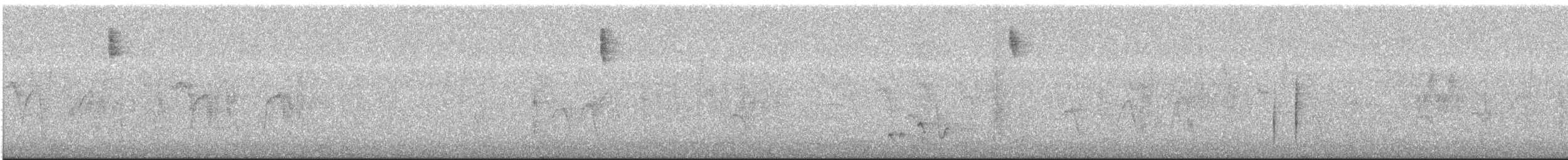 Strohammer - ML644721297