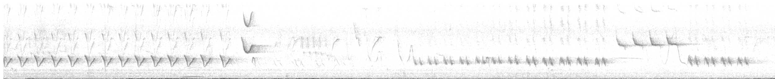 Chalk-browed Mockingbird - ML644721383