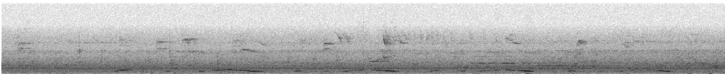 Pale-vented Pigeon - ML644721435