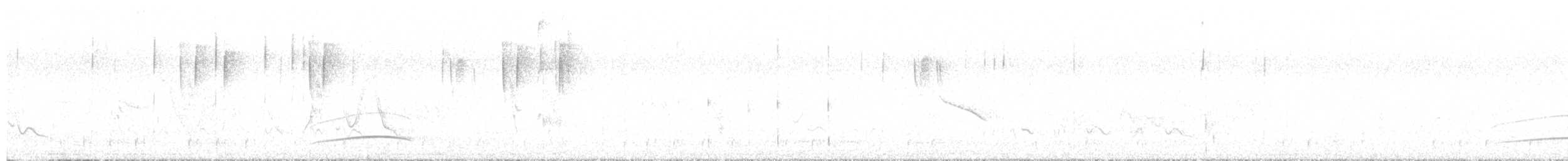 Копетон неотропічний - ML644722165