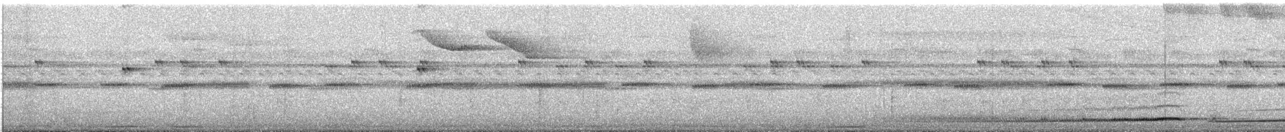 Sulawesi Pitta (Sulawesi) - ML644722848