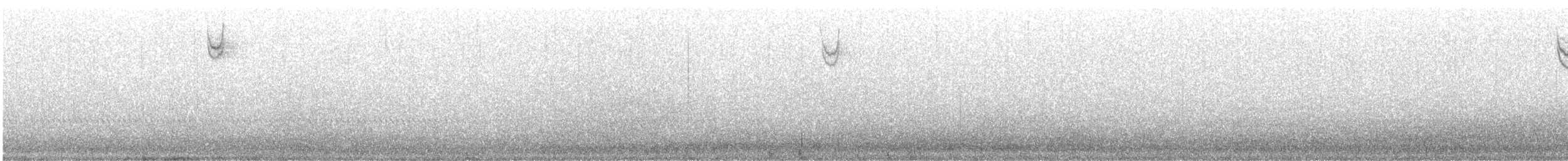 Chingolo Cantor - ML644722915