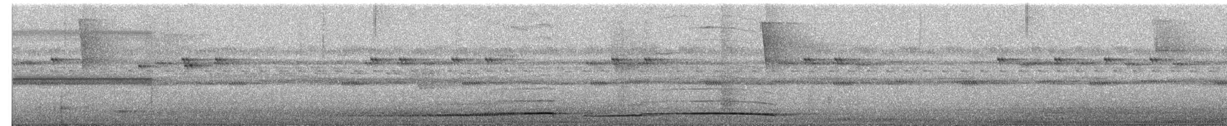 Sulawesi Pitta (Sulawesi) - ML644722932