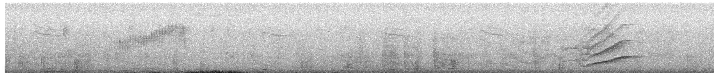 Tropical Parula - ML644723433