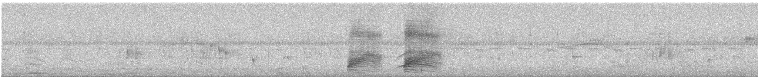 Solitary Black Cacique - ML644723835