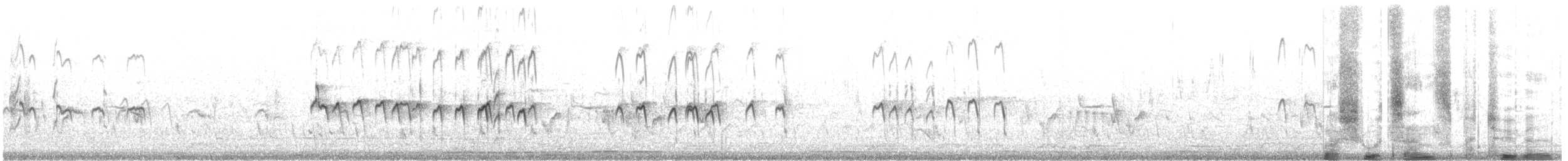 タカブシギ - ML644724302