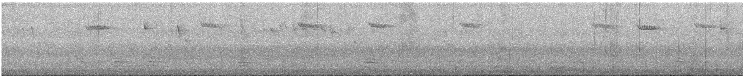 Brown Creeper - ML644724719