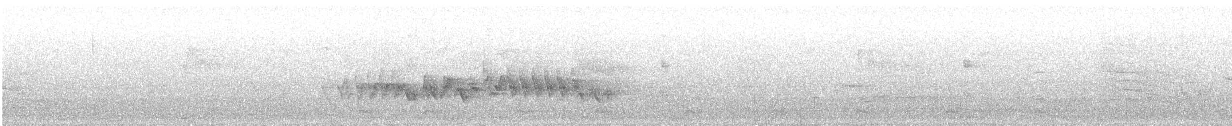 Purple Finch (Eastern) - ML644724785