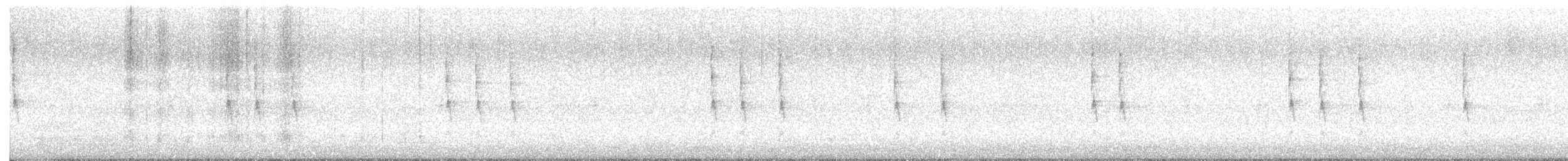 フユミソサザイ - ML644725709