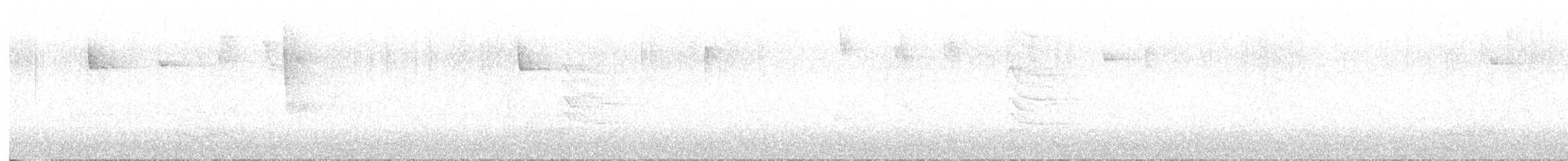 シルスイキツツキ - ML644726127