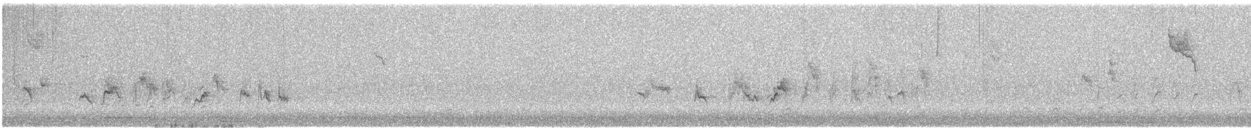 hvitstrupespurv - ML644727072