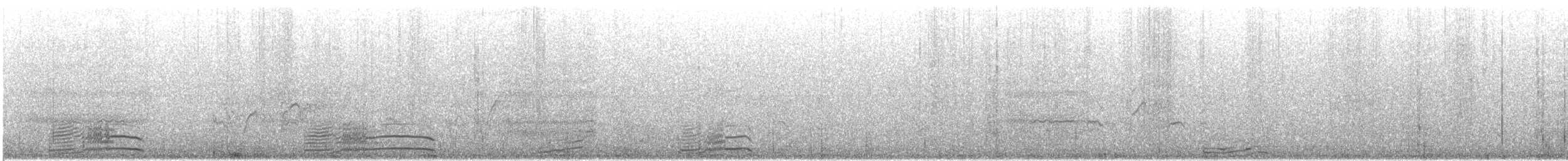 Lesser Black-backed Gull (taimyrensis) - ML644727483